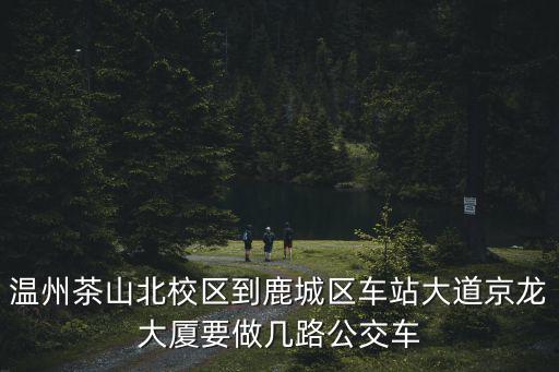 溫州茶山北校區到鹿城區車站大道京龍大廈要做幾路公交車