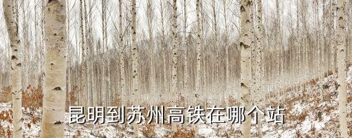 昆明到蘇州高鐵在哪個(gè)站