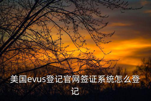 美國evus登記官網簽證系統怎么登記