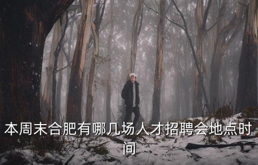 本周末合肥有哪幾場人才招聘會地點時間