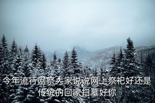 網(wǎng)祭，qq空間網(wǎng)祭應(yīng)用怎么不見(jiàn)了