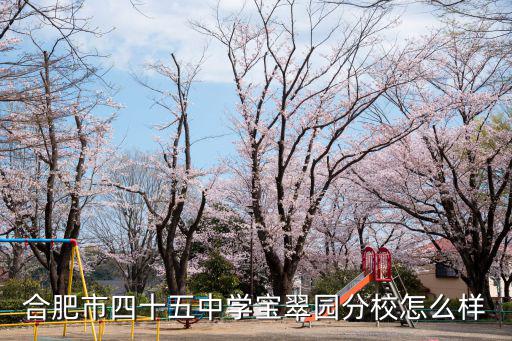 合肥市四十五中學寶翠園分校怎么樣