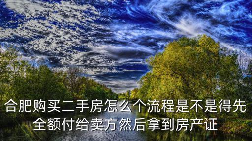 合肥購買二手房怎么個流程是不是得先全額付給賣方然后拿到房產證