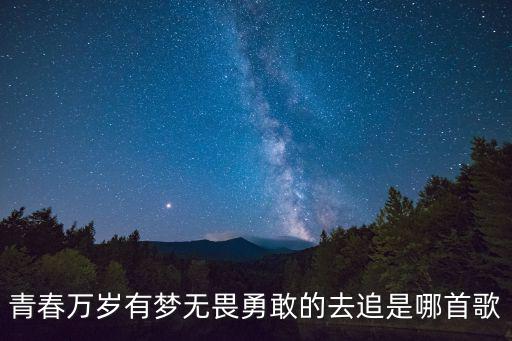 石寅，有一首歌詞是我們都不一樣夢想去遠方是歌曲