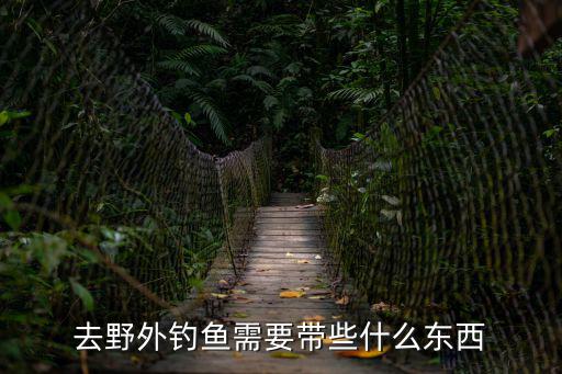 野外垂釣，去野外釣魚需要帶些什么東西