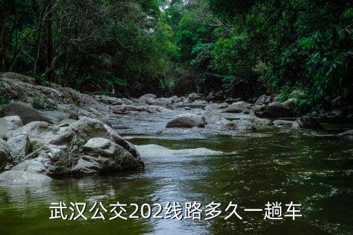 武漢公交202線路多久一趟車
