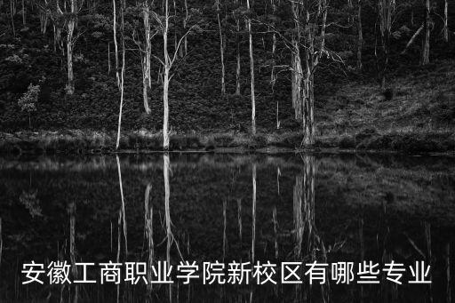 安徽工商職業學院新校區有哪些專業