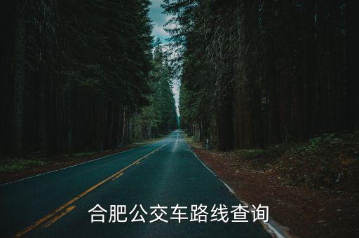 合肥公交路線查詢，合肥公交車路線查詢
