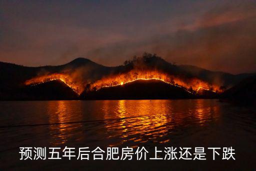預測五年后合肥房價上漲還是下跌