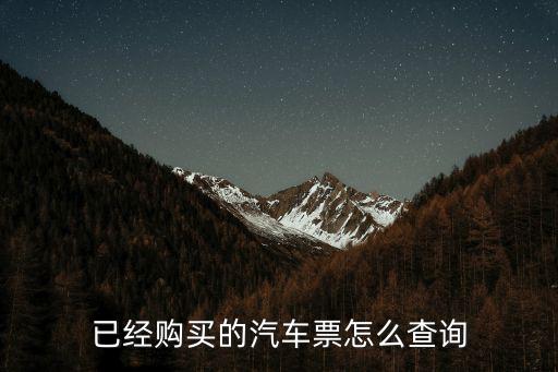 已經(jīng)購(gòu)買的汽車票怎么查詢