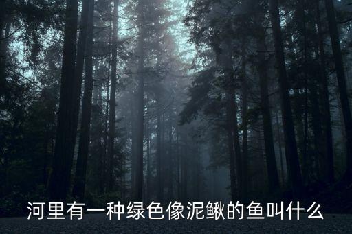 河里有一種綠色像泥鰍的魚叫什么