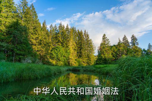 中華人民共和國婚姻法