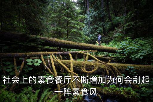 社會上的素食餐廳不斷增加為何會刮起一陣素食風