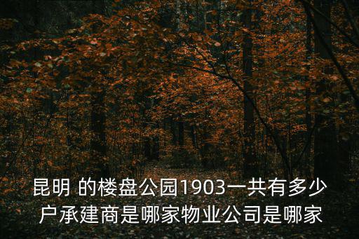 昆明 的樓盤公園1903一共有多少 戶承建商是哪家物業公司是哪家