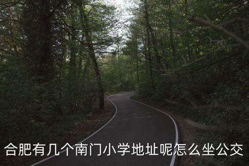 合肥有幾個南門小學地址呢怎么坐公交