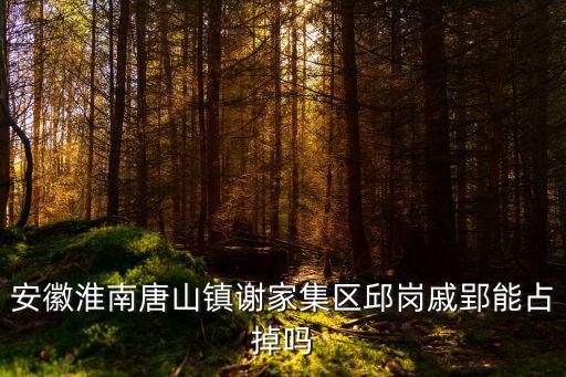 邱崗，以黃健芳這名字分別插入一首七言絕句的前三句首字做成藏頭詩(shī)  搜