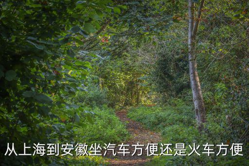 從上海到安徽坐汽車方便還是火車方便