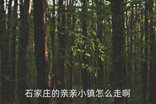 石家莊的親親小鎮(zhèn)怎么走啊