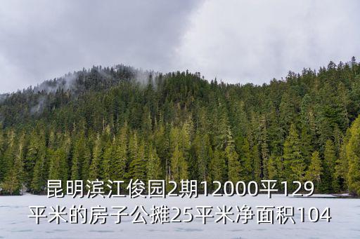 昆明濱江俊園2期12000平129平米的房子公攤25平米凈面積104
