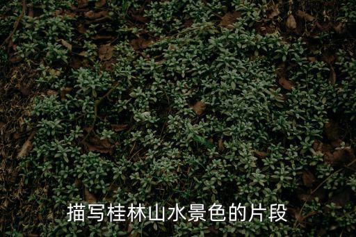 描寫桂林山水景色的片段