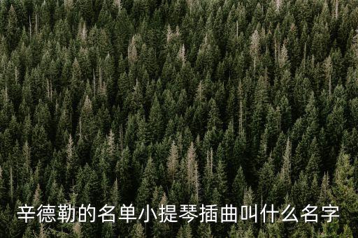 辛德勒的名單小提琴插曲叫什么名字
