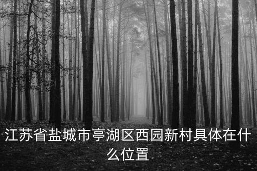 江蘇省鹽城市亭湖區西園新村具體在什么位置