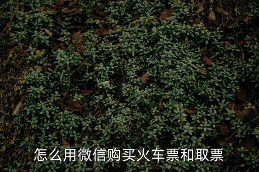 怎么用微信購買火車票和取票
