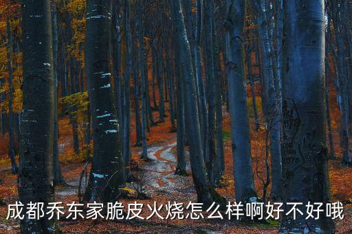 成都喬東家脆皮火燒怎么樣啊好不好哦