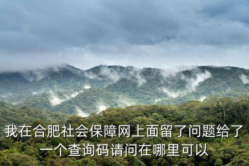 我在合肥社會保障網上面留了問題給了一個查詢碼請問在哪里可以