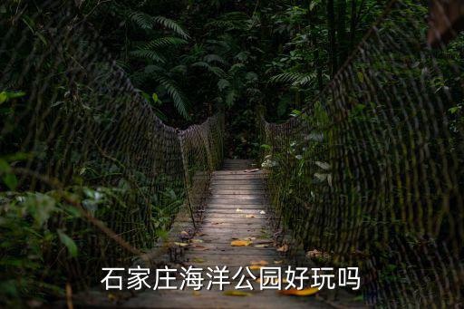 石家莊海洋公園好玩嗎