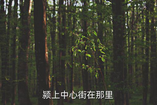潁上中心街在那里