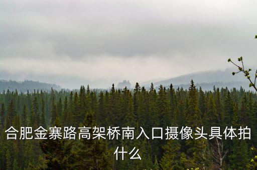 合肥金寨路高架橋南入口攝像頭具體拍什么