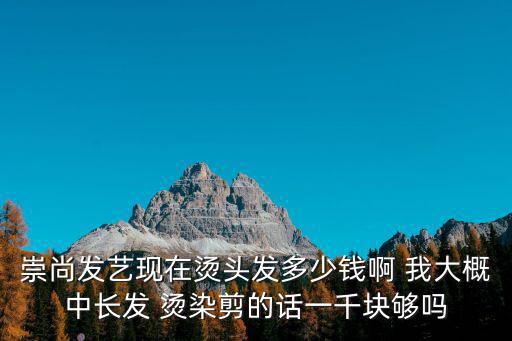 崇尚發藝現在燙頭發多少錢啊 我大概中長發 燙染剪的話一千塊夠嗎
