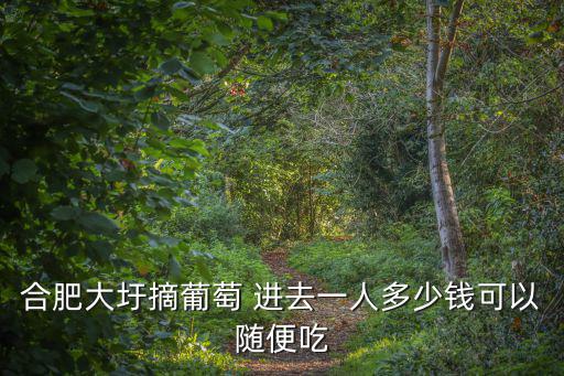 合肥大圩葡萄，想知道 合肥市 大圩葡萄 在哪