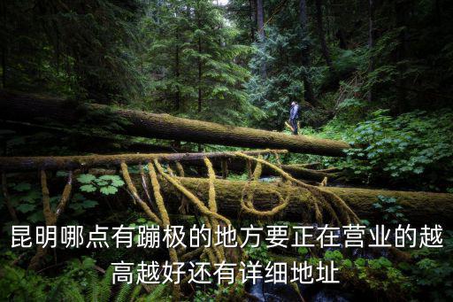 昆明哪點有蹦極的地方要正在營業的越高越好還有詳細地址