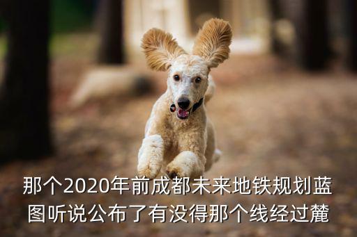 那個2020年前成都未來地鐵規劃藍圖聽說公布了有沒得那個線經過麓