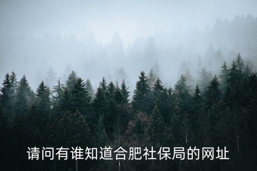 請問有誰知道合肥社保局的網址