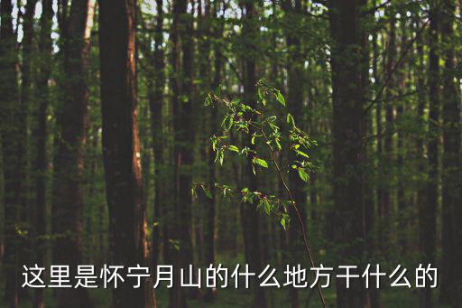 這里是懷寧月山的什么地方干什么的