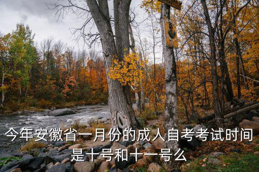 今年安徽省一月份的成人自考考試時間是十號和十一號么