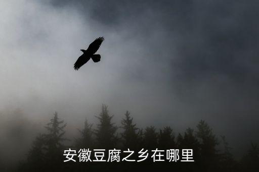 安徽豆腐之鄉(xiāng)在哪里