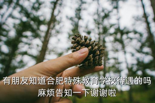 合肥特殊教育中心，想知道 合肥市 合肥盲人學(xué)校在什么地方 在哪