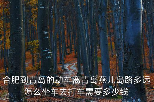 合肥到青島的動車離青島燕兒島路多遠怎么坐車去打車需要多少錢