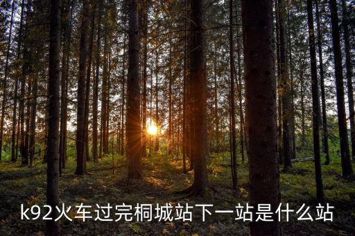 k92火車過完桐城站下一站是什么站