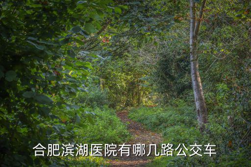 合肥市濱湖醫(yī)院，合肥濱湖醫(yī)院地址