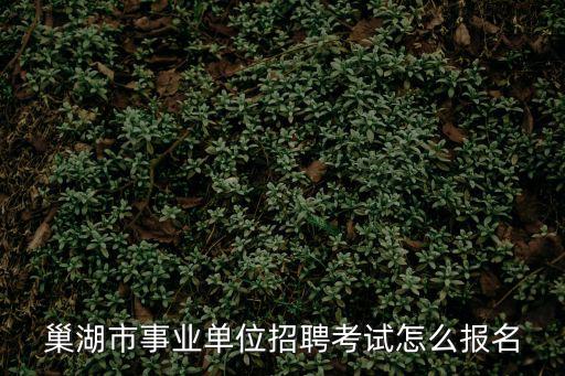 巢湖市事業(yè)單位招聘考試怎么報名