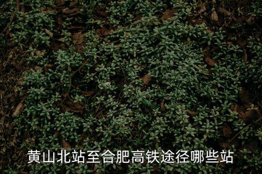 黃山到合肥高鐵，坐高鐵到合肌需多少時間黃山到合肥