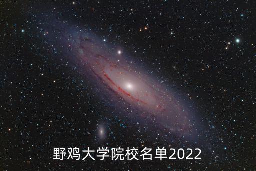 野雞大學院校名單2022