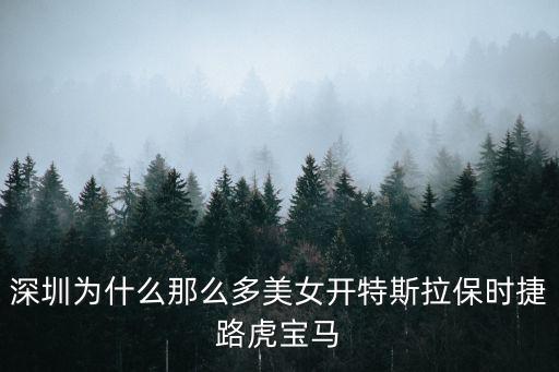 深圳寶馬，寶馬寶馬3系  深圳哪里有風景比較好的公路沒事可以開車跑一跑的