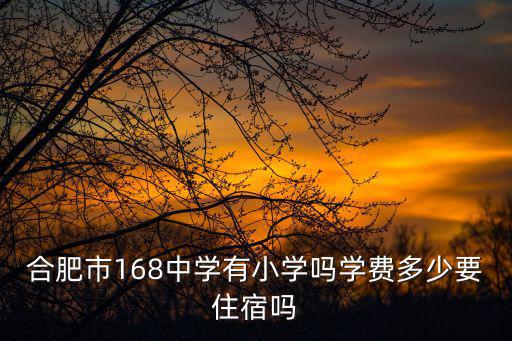 合肥市168中學，合肥市168中學有小學嗎學費多少要住宿嗎
