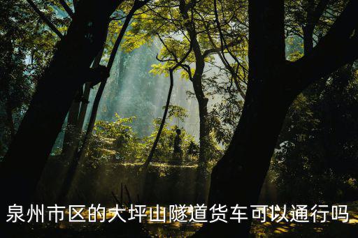 泉州市區的大坪山隧道貨車可以通行嗎